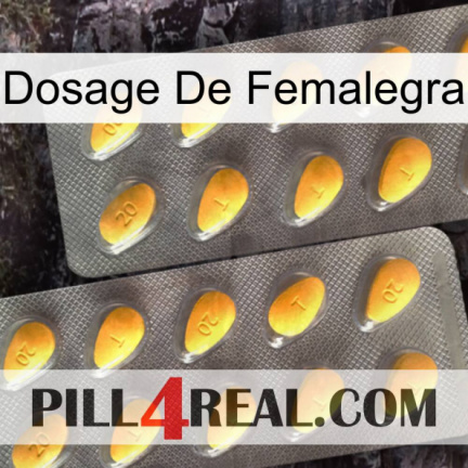 Femalegra Dosage cialis2